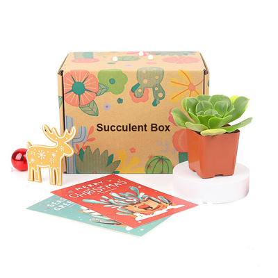 Custom Logo Printed Paper Cactus Succulents Live Plants Packaging Box